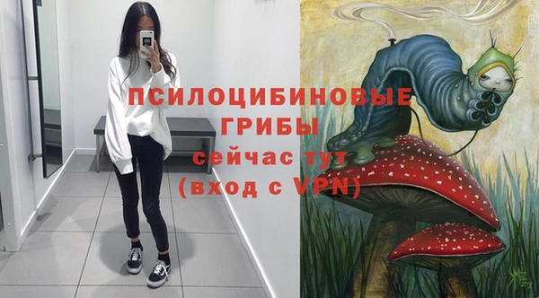 хмурый Яранск