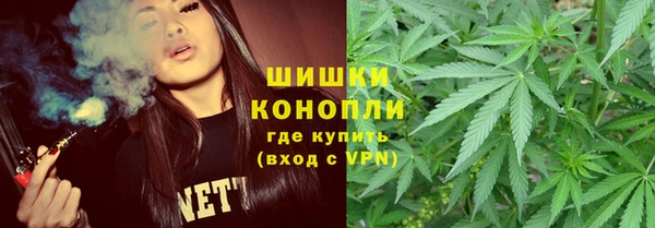 индика Яровое
