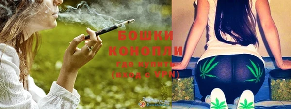 индика Яровое